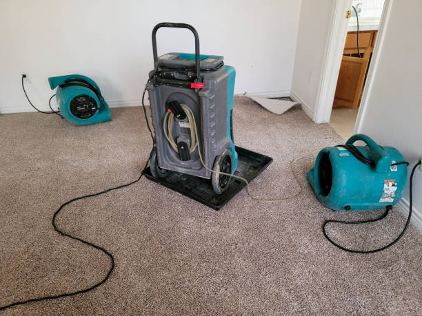 Best Water damage contractors near me  in Fountainebleau, FL