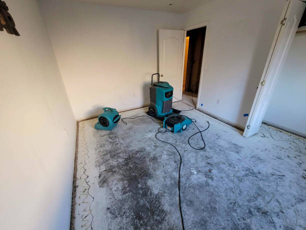Best Basement water damage restoration  in Fountainebleau, FL