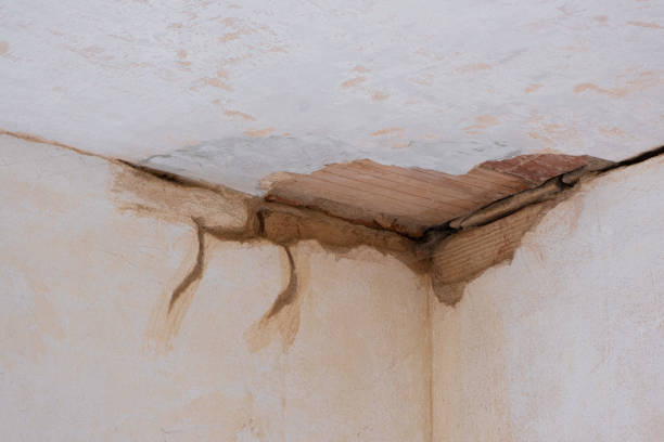 Best Water damage restoration specialists  in Fountainebleau, FL