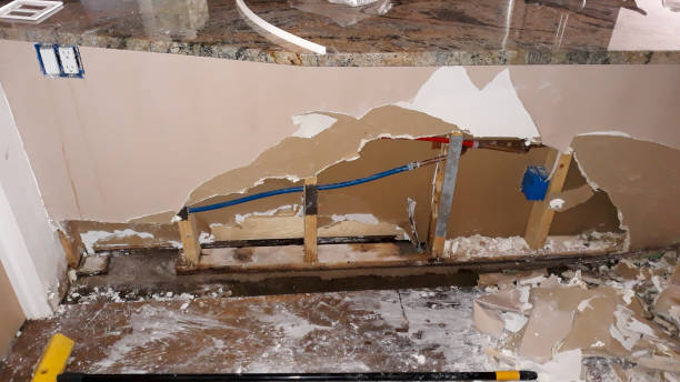 Best Flood restoration services  in Fountainebleau, FL