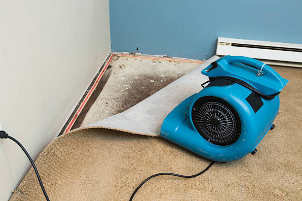 Best Residential water damage restoration  in Fountainebleau, FL